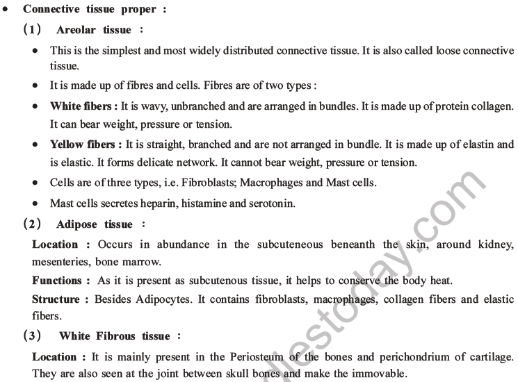 NEET Biology Animal Tissues MCQs Set A, Multiple Choice Questions